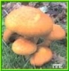 Avatar von 18