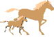 Avatar von cipoteoxn