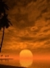 Avatar von dome980