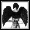 Avatar von eltrenas