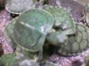 Avatar von Exelom