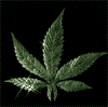 Avatar von gaahpg