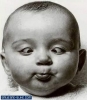 Avatar von Jokasceba