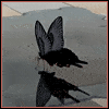 Avatar von Juanjo