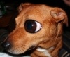 Avatar von Lolopen