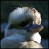 Avatar von Missvir