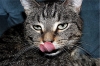 Avatar von pepebn