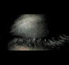 Avatar von piiitero