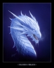 Avatar von pttesoidok