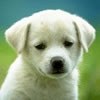 Avatar von Remoahtxxa
