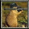 Avatar von Tanitmora