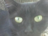 Avatar von teresagalingo