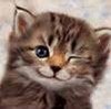 Avatar von xele2910